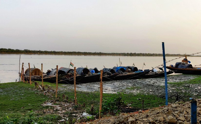 Just Like a&nbsp;Driftwood