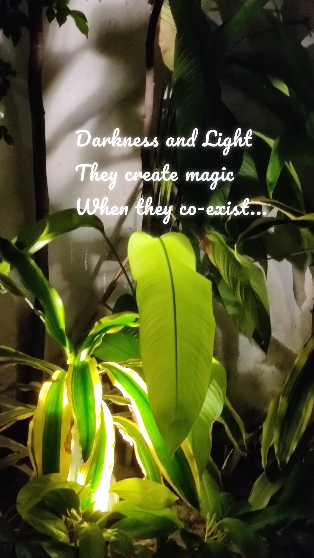 Darkness and Light 
They create magic
When they co-exist...