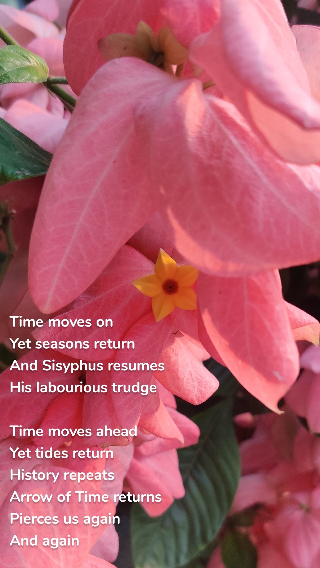 Time moves on
Yet seasons return
And Sisyphus resumes
His labourious trudge
 
Time moves ahead
Yet tides return
History repeats
Arrow of Time returns
Pierces us again
And again