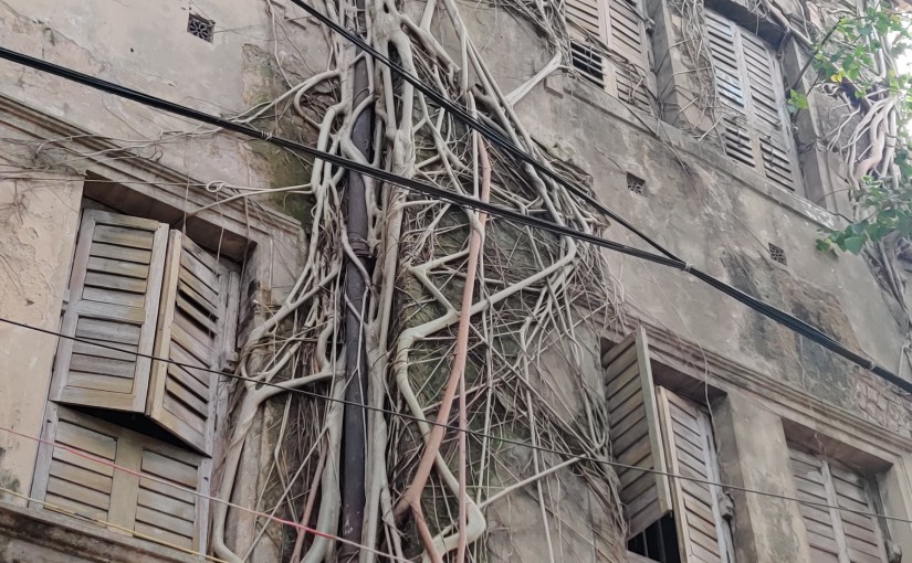 Happiness on Discount