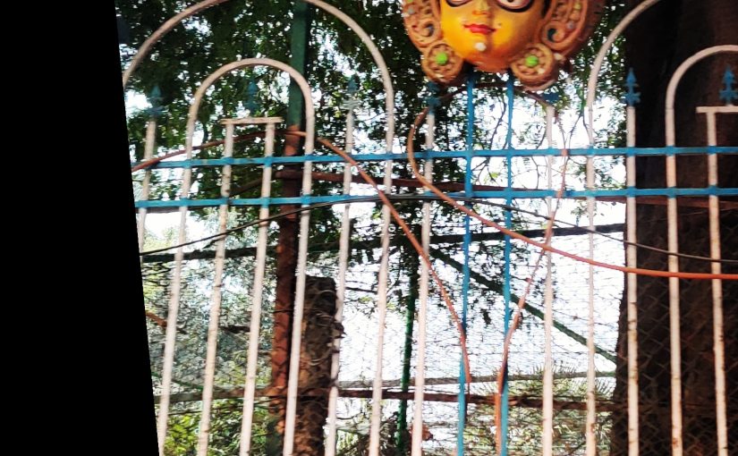 At the Edge of&nbsp;Life