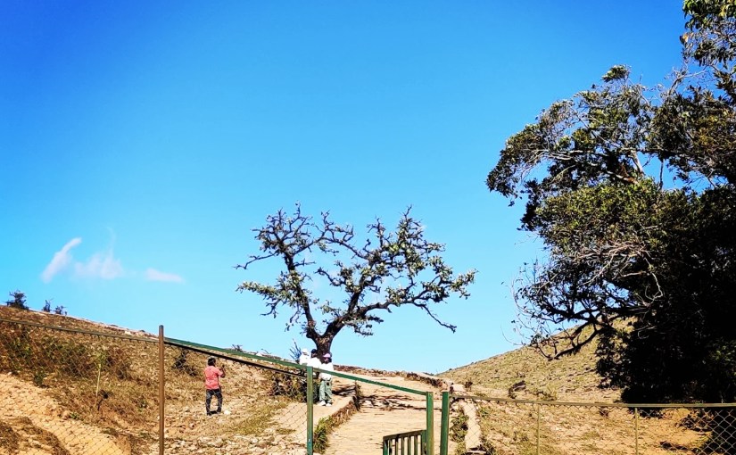 What will become of&nbsp;us?