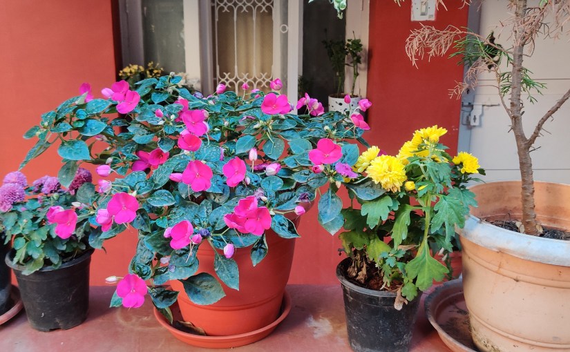 A Place Called&nbsp;Home