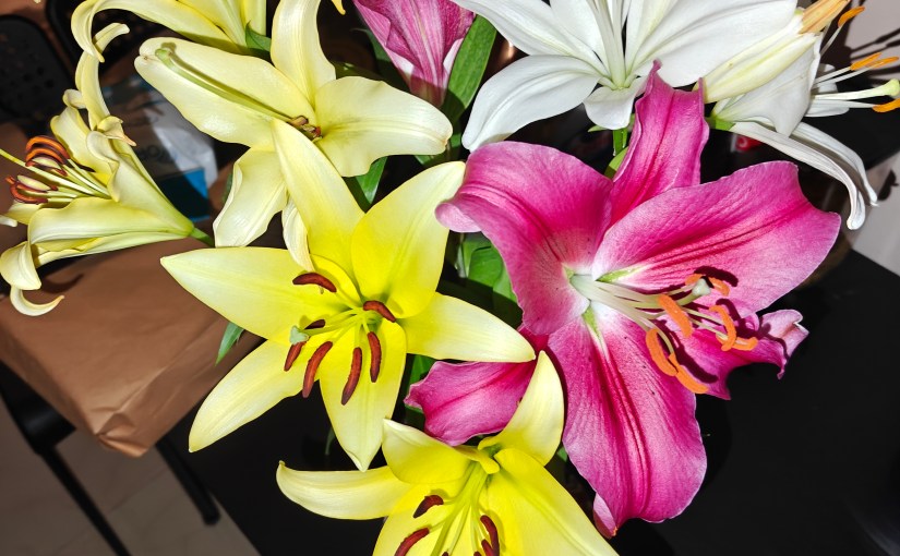 Sometimes It Is Too&nbsp;Late…