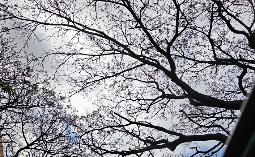 Stars burn out&nbsp;too