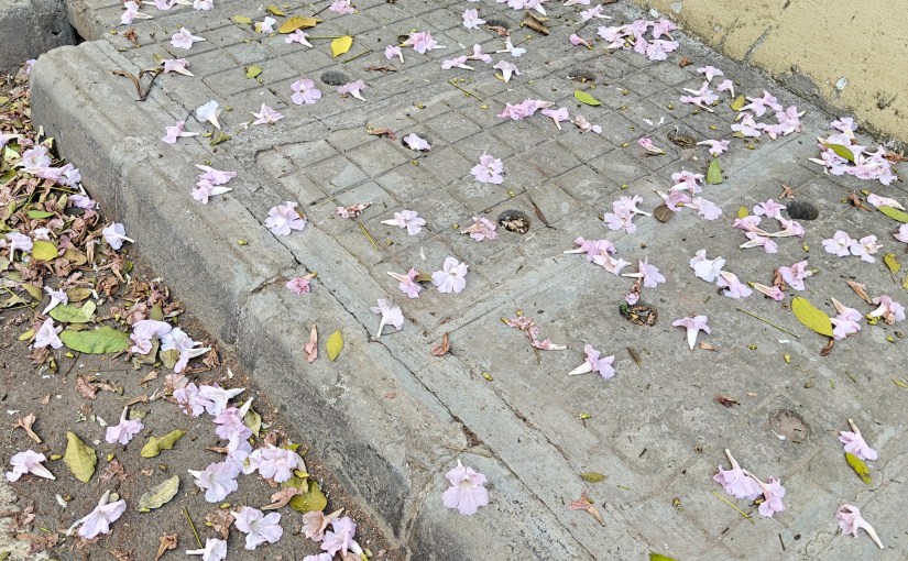 Poetry Ai’nt Luxury